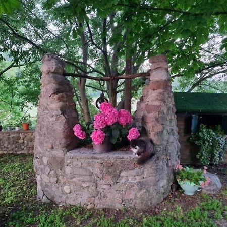 Agriturismo Case In Collina Волта Мантована Екстериор снимка